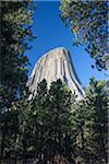 Devils Tower, Bear Lodge Mountains, Crook County, Wyoming, USA