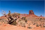 Scenic landscape with Mitten Butte in the background, Monument Valley, Arizona, USA