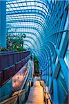 Architectural interior, Flower Dome, Gardens by the Bay, Singapore