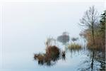 Lake Barmsee in Morning Mist, Werdenfelser Land, Upper Bavaria, Bavaria, Germany