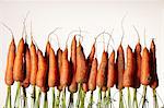 A row of upside down fresh carrots with roots