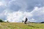 Young man in cowboy gear riding horse in field