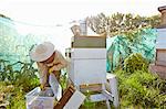 Female beekeeper putting honeycomb trays into plastic container on city allotment