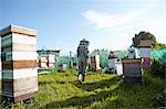 Women beekeepers working on city allotment