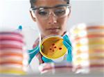 Female scientist examining cultures in petri dish in microbiology lab