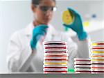 Female scientist examining microbiological cultures in petri dish in microbiology lab