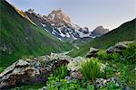 Valley and Ushba mountain peak, Svaneti, Georgia