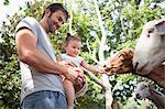 Father and baby daughter feeding goats at zoo