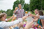 Family and friends making a toast at outdoor meal