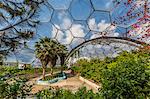 The Eden Project, the complex consists of huge greenhouse domes simulating different biomes from around the world, St. Austell, Cornwall, England, United Kingdom, Europe