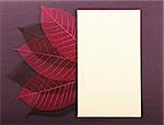 Empty greeting post card on violet cardboard background