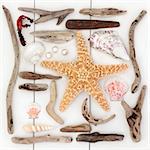 Starfish and sea shell selection, driftwood, pearls and seaweed over wooden white background.