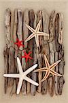 Starfish shell selection and driftwood pieces over sand background.