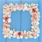 Starfish and white sea shell collection forming a frame over wooden blue background.