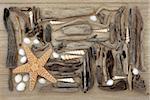 Starfish and sea shell collage with driftwood over oak wood  background.