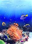 Underwater scene with anemone and tropical fish