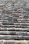 A shot of old roof tiles (the background)