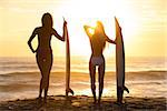 Rear view silhouettes of beautiful sexy young women surfer girls in bikinis with surfboards on a beach at sunset or sunrise