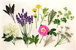 Herb and flower selection used in alternative medicine over mottled cream background.