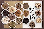 Chinese herbal medicine selection with calligraphy script of yin and yang symbols on rice paper on an old notebook over brown paper background. Translation reads as yin yang.