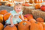 Adorable Baby Girl Holding a Pumpkin in a Rustic Ranch Setting at the Pumpkin Patch.
