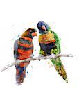 Watercolor Digital Painting Of Rainbow Parrots(Rainbow Lorikeet)