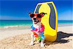 dog at the beach with a surfboard wearing sunglasses and flower chain at the ocean shore