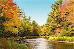 Mersey river in fall (Kejimkujik National Park, Nova Scotia, Canada)
