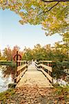 Wooden boardwalk at Jakes landing (Kejimkujik National Park, Nova Scotia, Canada)