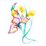 Watercolor flowers - pink iris, splashes, drops on paper or canvas, vector illustration