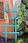 Colorful turquoise, wooden ladder catches the eye of visitors to "old town", Albuquerque, New Mexico.  Sign attached says "open" and cactus is blooming on corner.