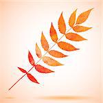 Orange watercolor painted leaf. Also available as a Vector in Adobe illustrator EPS format, compressed in a zip file. The vector version be scaled to any size without loss of quality.