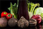 Fresh raw organic vegetable still life. Black radish, purple eggplant, capsicum, fennel, cabbage and chinese cabbage isolated on black background. Colorful healthy eating.