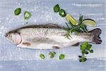 Fresh trout with sea salt, lime, rosemary and fresh basil leaves on blue and white wooden background, top view. Luxurious mediterranean seafood background.