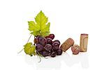 Red wine grapes and various corks isolated on white background with reflection. Culinary luxurious wine drinking.