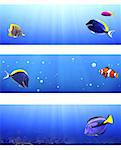 Collection of banners with beautiful tropical fish