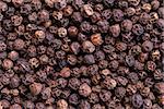 Black pepper spices for cooking meat, fish and salads