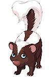 Illustration of very cute skunk