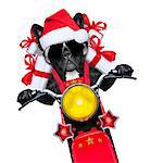 santa claus dog on motorbike bringing presents or gifts to everyone