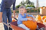 cheerful little boy sitting in the cart with huge pumpkin, having fun with his father at pumpkin patch