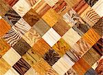 Background with wooden patterns of different colors