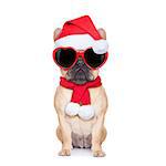 Santa claus christmas fawn  bulldog dog wearing read heart shaped glasses , isolated on white background