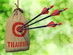 Training - Three Arrows Hit in Red Target on a Hanging Sack on Green Bokeh Background.