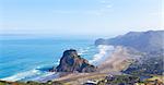 view at lion rock and piha beach at north island in new zealand