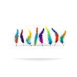 Parrot feather background