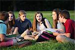 Insulted young female student with friends studying outdoors