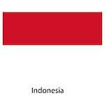 Flag  of the country indonesia. Vector illustration.  Exact colors.