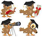 Set owl. Illustration in vector format isolated