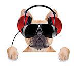 dj bulldog dog with headphones listening to music behind a white banner or placard , isolated on white background