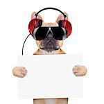 dj bulldog dog with headphones listening to music holding a white banner or placard , isolated on white background